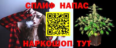 эйфоретик Моздок