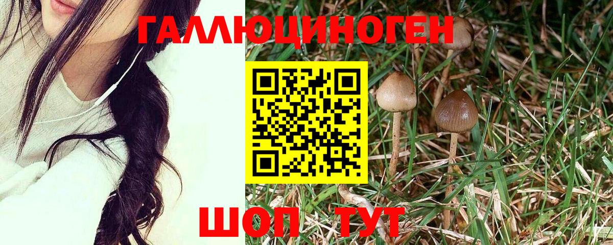 Галлюциногенные грибы Magic Shrooms Фурманов