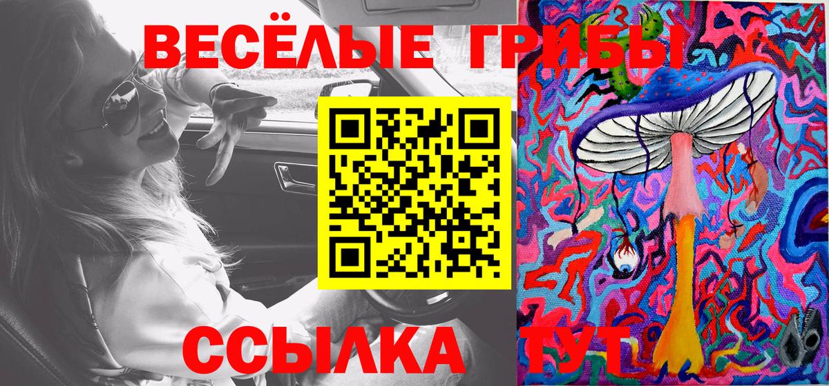 где продают наркотики  Вход с VPN  Фурманов  Галлюциногенные грибы прущие грибы 